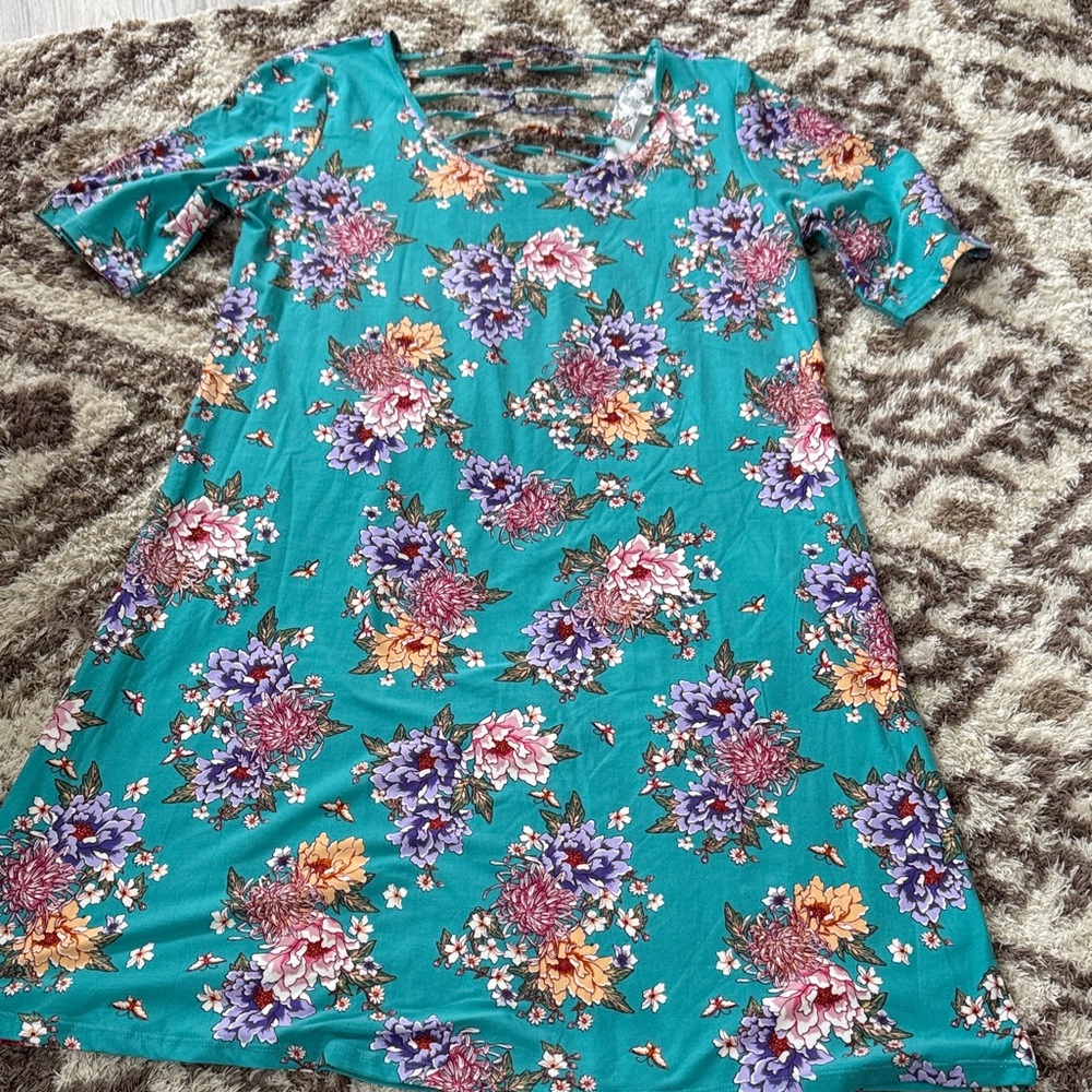 Pink Rose Turquoise Floral Mini Dress